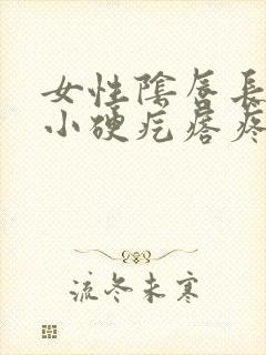 女性阴唇长了个小硬疙瘩疼封面