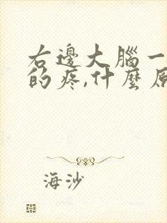 右边大脑一阵阵的疼,什么原因?