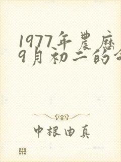 1977年农历9月初二的命运是怎样的封面
