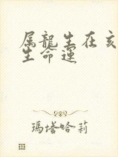 属龙生在亥时出生命运