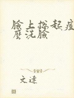 脸上总起痘用什么洗脸