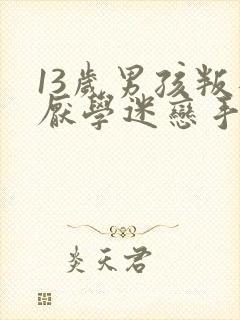 13岁男孩叛逆厌学迷恋手机怎么办?