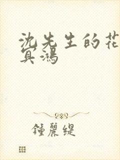 沈先生的花式调冥鸿封面