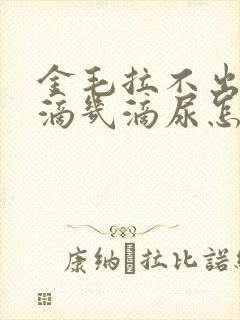 金毛拉不出屎总滴几滴尿怎么办