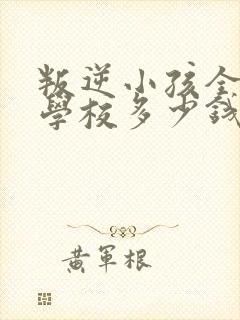 叛逆小孩全封闭学校多少钱