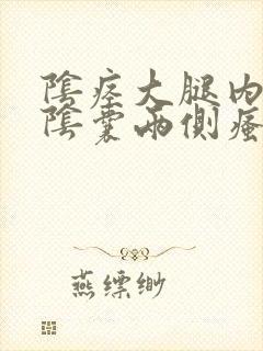 阴痉大腿内侧与阴囊两侧瘙痒发黑封面