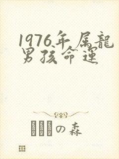 1976年属龙男孩命运