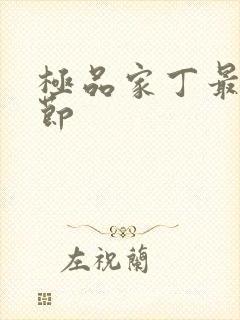 极品家丁最新章节封面