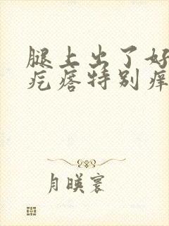 腿上出了好多小疙瘩特别痒