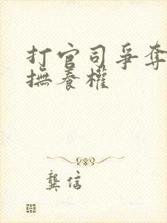 打官司争夺小孩抚养权