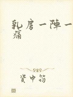 乳房一阵一阵的痛封面