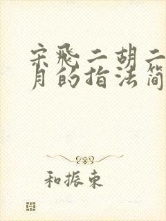 宋飞二胡二泉映月的指法简谱封面