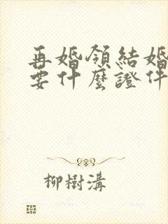 再婚领结婚证需要什么证件