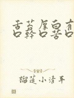 舌苔厚白有齿痕口干口苦口臭