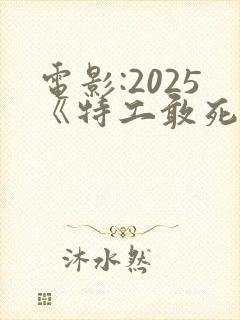 电影:2025《特工敢死队》