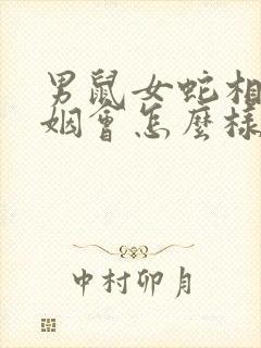 男鼠女蛇相配婚姻会怎么样封面