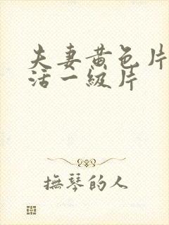 夫妻黄色片性生活一级片