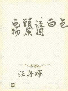 龟头流白色脓状物原因