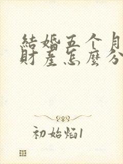 结婚五个月离婚财产怎么分