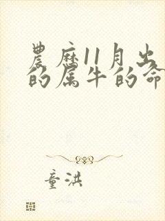 农历11月出生的属牛的命运怎么样