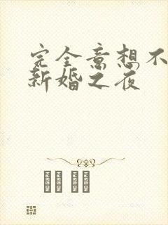完全意想不到的新婚之夜封面