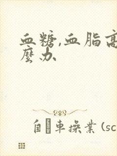 血糖,血脂高怎么办封面