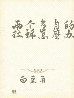 两个多月的狗狗拉稀怎么办