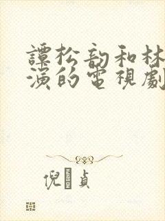 谭松韵和林更新演的电视剧