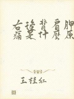 右后背肩胛骨酸痛是什么原因