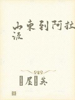 山东到阿拉尔物流