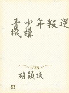 青少年叛逆教育机构