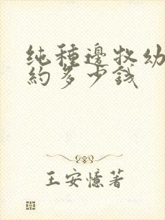 纯种边牧幼犬大约多少钱