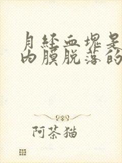 月经血块是子宫内膜脱落的吗