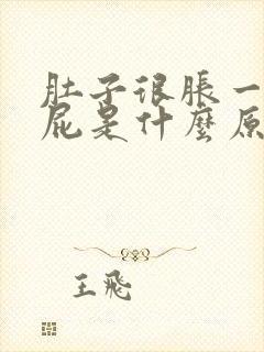 肚子很胀一直放屁是什么原因封面