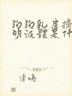 狗狗乳房挤出透明液体是什么原因