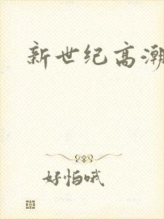 新世纪高潮战队