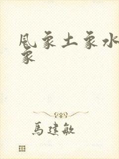 风象土象水象火象