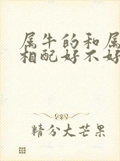 属牛的和属兔的相配好不好婚姻