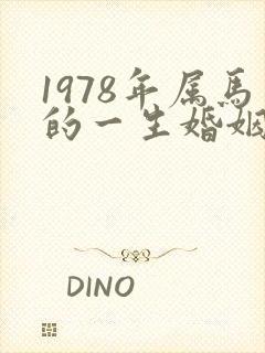 1978年属马的一生婚姻状况