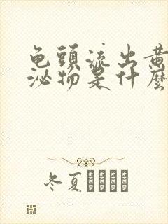 龟头流出黄色分泌物是什么