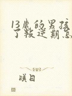 13岁的男孩到了叛逆期怎么教封面