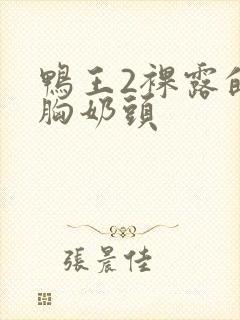 鸭王2裸露的大胸奶头