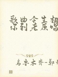 歌曲今生相遇陪你到老原唱