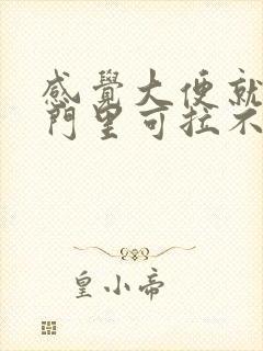 感觉大便就在肛门里可拉不出来怎么办