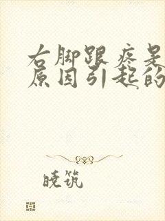 右脚跟疼是什么原因引起的