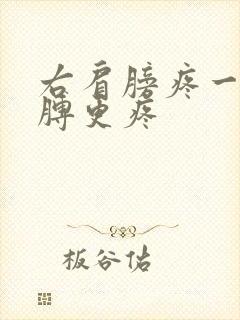 右肩膀疼一抬胳膊更疼