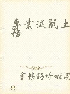 专业灭鼠上门服务