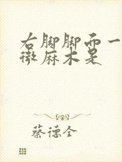 右脚脚面一摸轻微麻木是封面