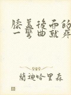 膝盖后面的腿窝一弯曲就疼封面