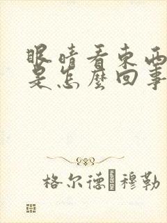 眼晴看东西模糊是怎么回事